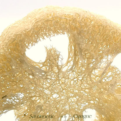 Éponge Loofah Naturelle – Exfoliant Végétal Écologique
